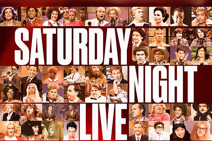 SNL40_VERTI3