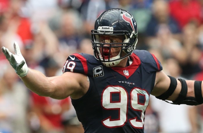 Sep 29, 2013; Houston, TX, USA; Houston Texans defensive end J.J. Watt (99) reacts in the fourth quarter as blood drips down from his nose against the Seattle Seahawks at Reliant Stadium. The Seattle Seahawks beat the Houston Texans 23-20. Mandatory Credit: Matthew Emmons-USA TODAY Sports