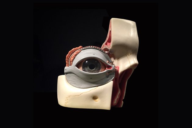 Image result for spencer albee relentlessly yours